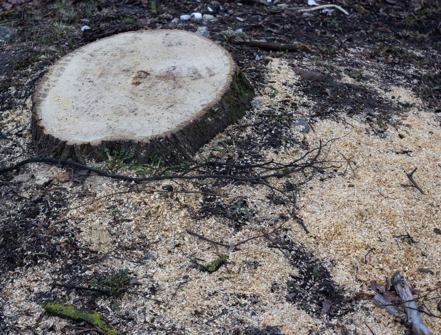 Log & Debris Hauling by AHI Mr. Handyman LLC